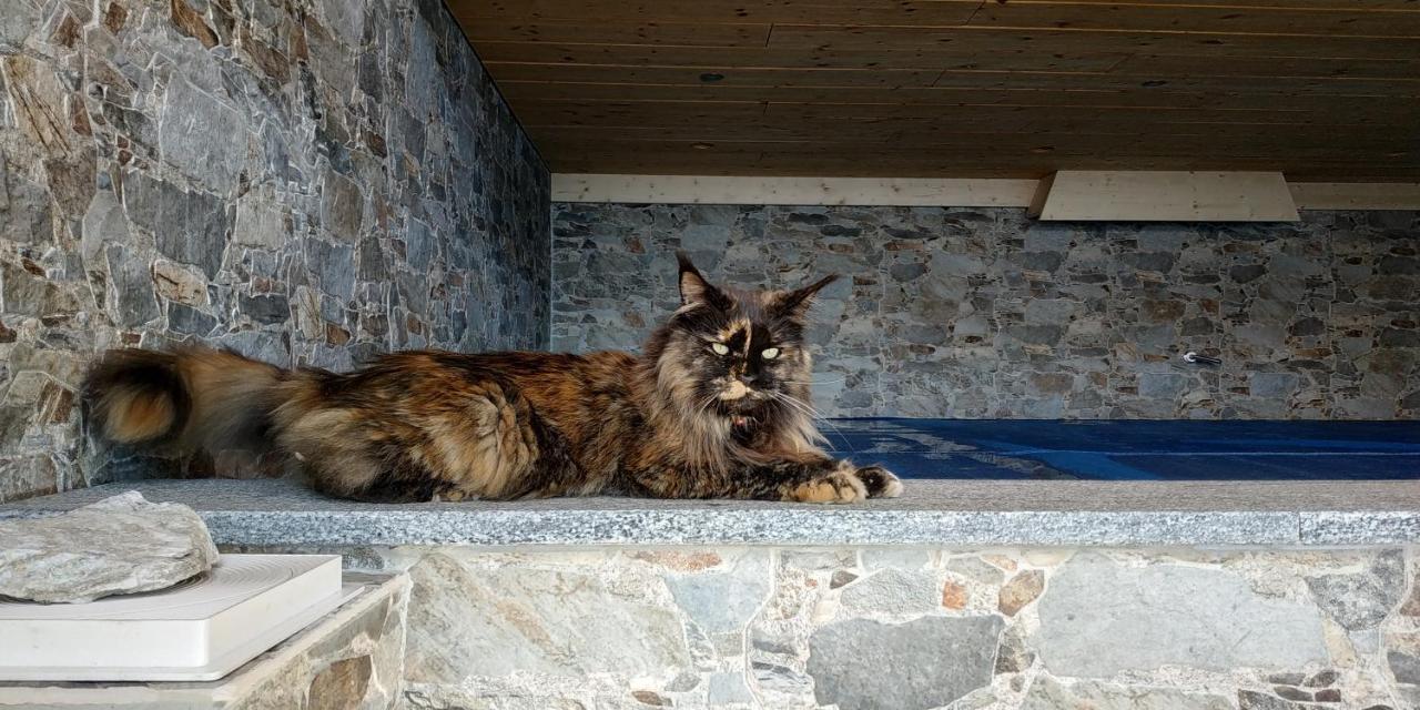 L Ame Et Son Du Coeur Villa Dorenaz Kültér fotó